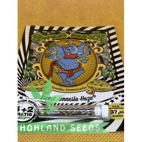 Sweet Amnesia Haze XL Auto