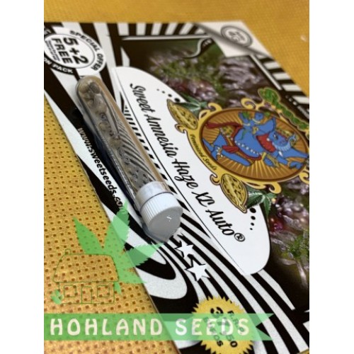 Sweet Amnesia Haze XL Auto