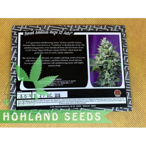 Sweet Amnesia Haze XL Auto