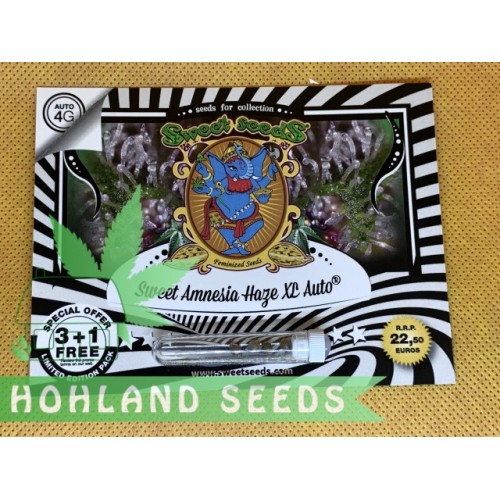 Sweet Amnesia Haze XL Auto