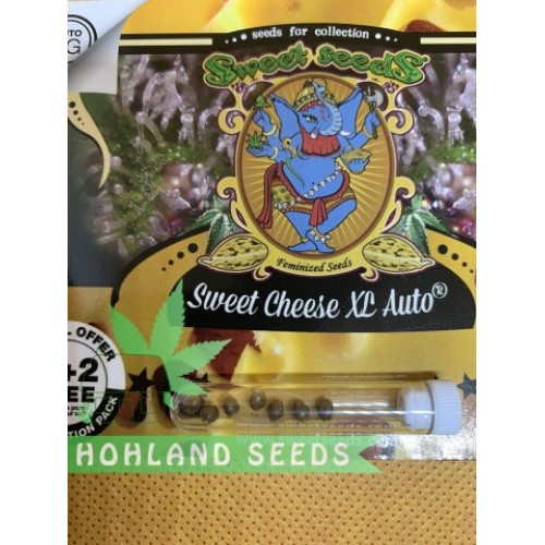 Sweet Cheese XL Auto