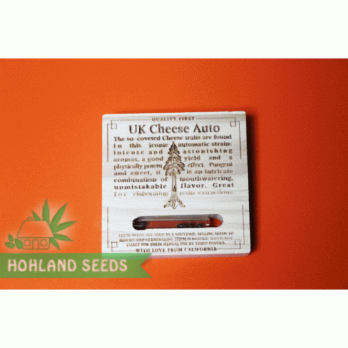 UK Cheese Auto UK Cheese Auto