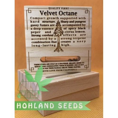 Velvet Octane Velvet Octane