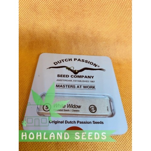 White Widow