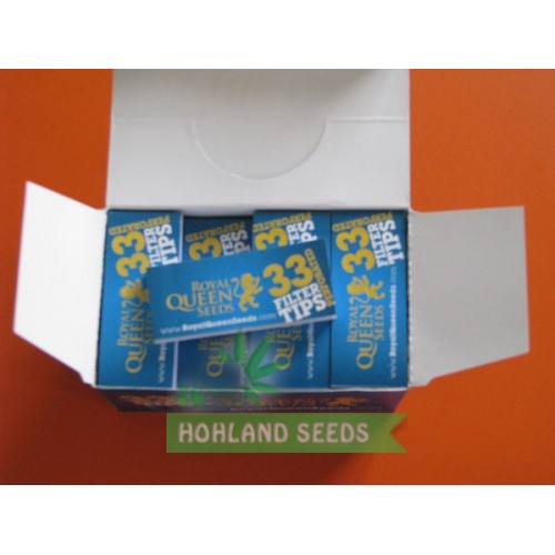 Northern Light Automatic