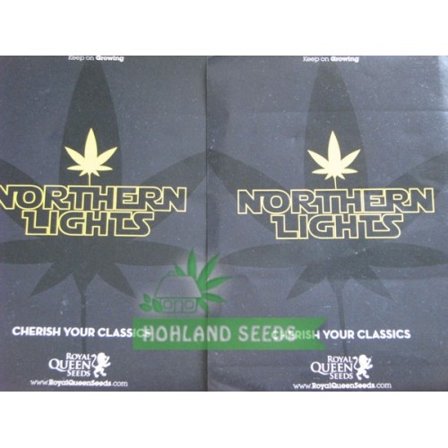 Northern Light Automatic