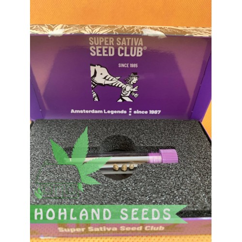 Bruce Lemon Diesel Auto Bruce Lemon Diesel Auto
