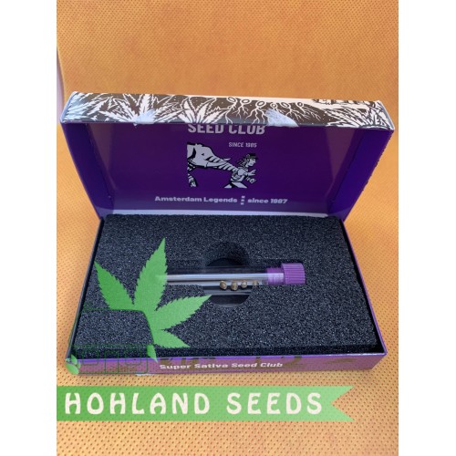 Bruce Lemon Diesel Auto Bruce Lemon Diesel Auto