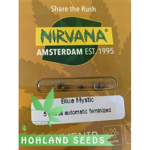 Blue Mystic Auto