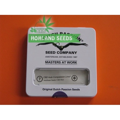 CBD Auto Compassion Lime