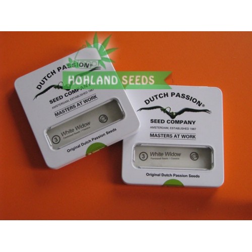 White Widow