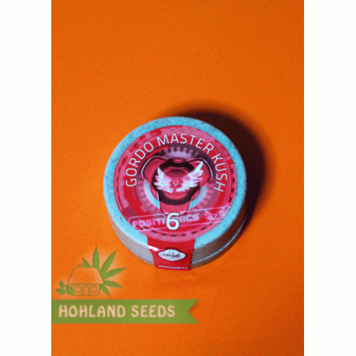 Gordo Master Kush