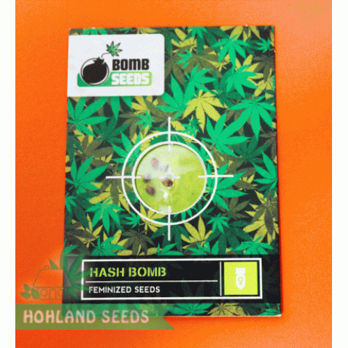 Hash Bomb Hash Bomb