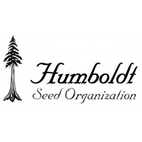 Fast Flowering Green Crack