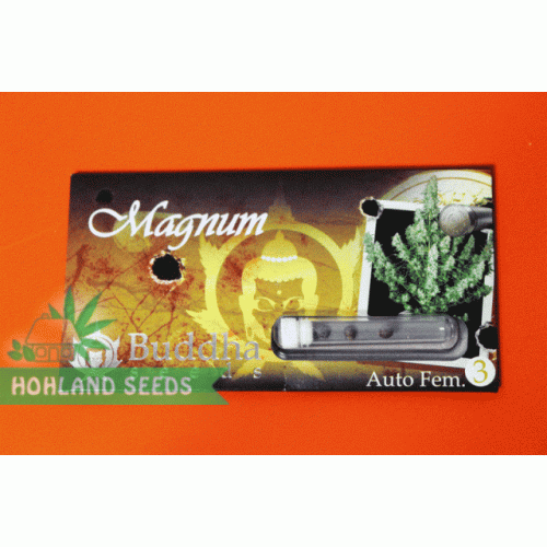 Magnum Auto