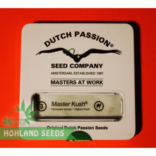 Master Kush