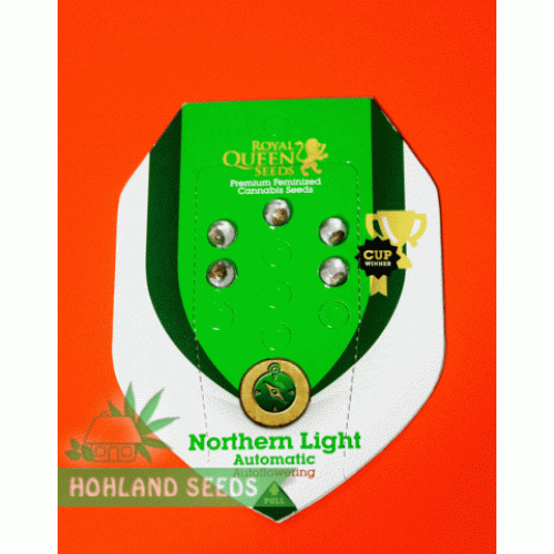 Northern Light Automatic