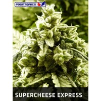 Super Cheese Express