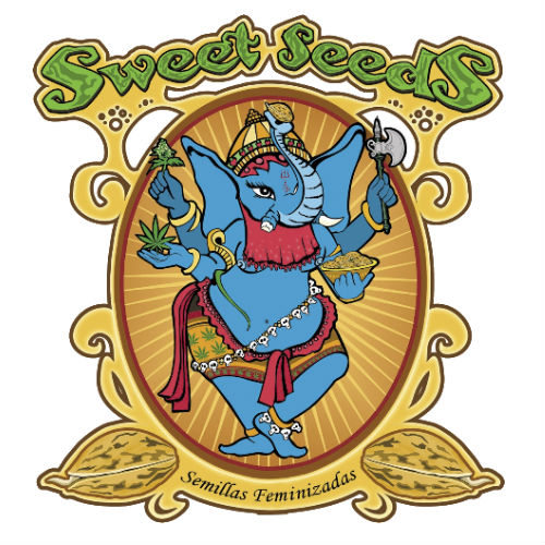 S.A.D. S1 Sweet Afghani Delicious S.A.D. S1 Sweet Afghani Delicious