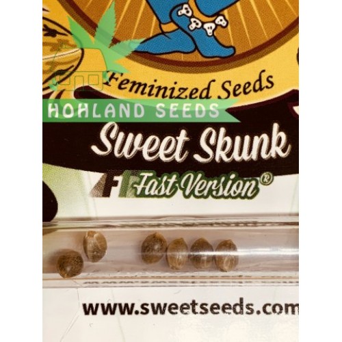 Sweet Skunk F1 Fast Version Sweet Skunk F1 Fast Version