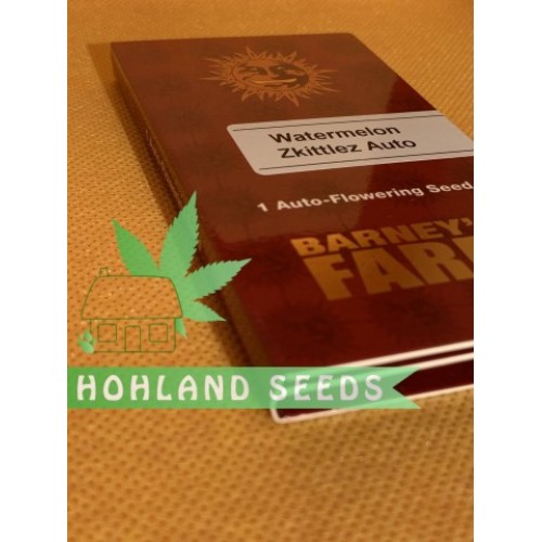 Watermelon Zkittlez Auto