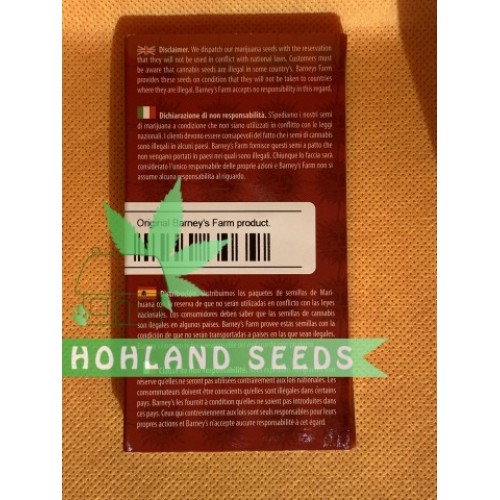 Watermelon Zkittlez Auto