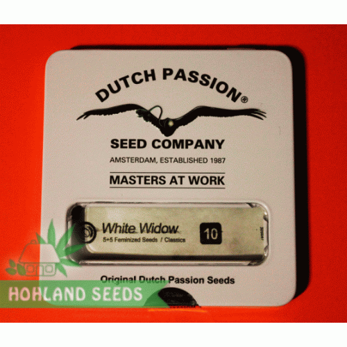 White Widow