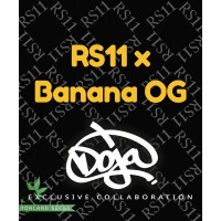 RS11 x Banana OG