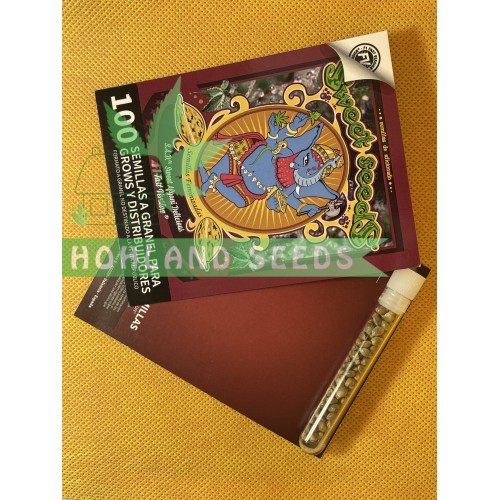 S.A.D. Sweet Afghani Delicious F1 Fast Version S.A.D. Sweet Afghani Delicious F1 Fast Version