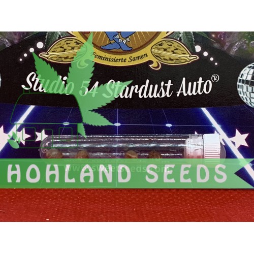 Studio 54 Stardust Auto