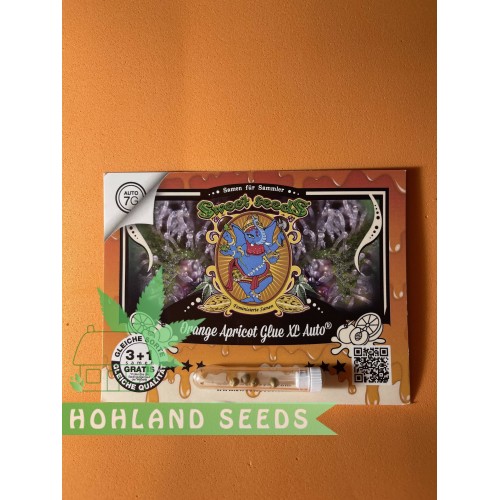 Orange Apricote Glue XL Auto Orange Apricote Glue XL Auto