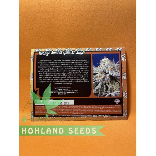 Orange Apricote Glue XL Auto Orange Apricote Glue XL Auto