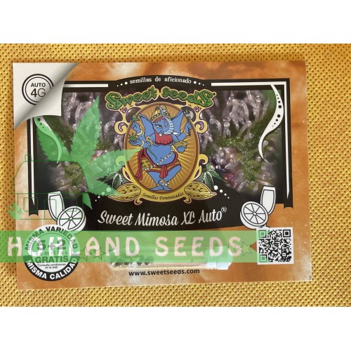 Sweet Mimosa XL Auto