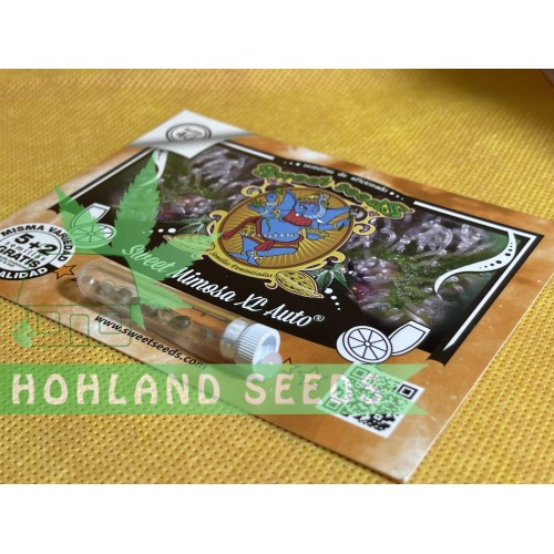 Sweet Mimosa XL Auto