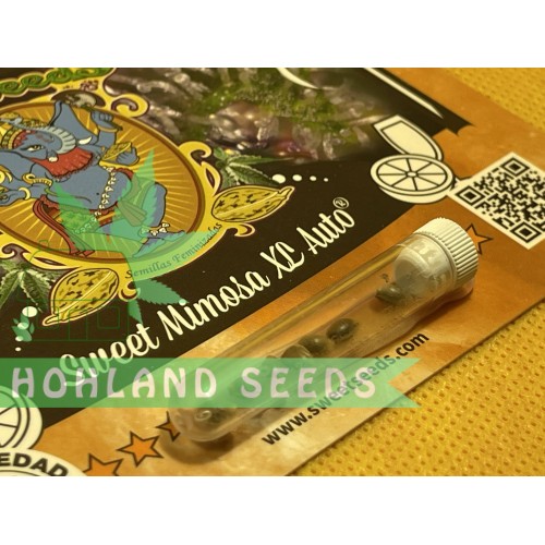 Sweet Mimosa XL Auto