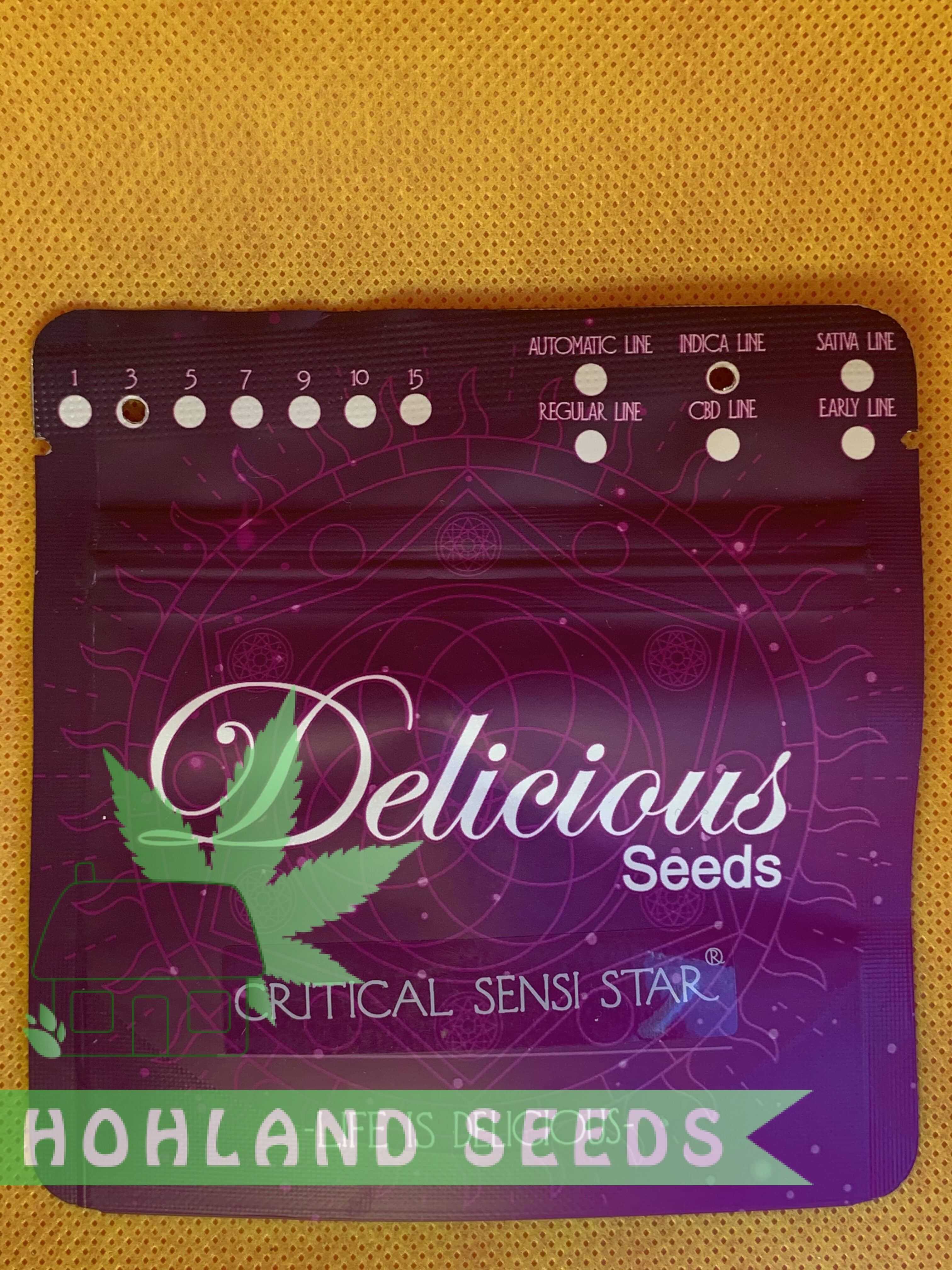 Critical Sensi Star Critical Sensi Star