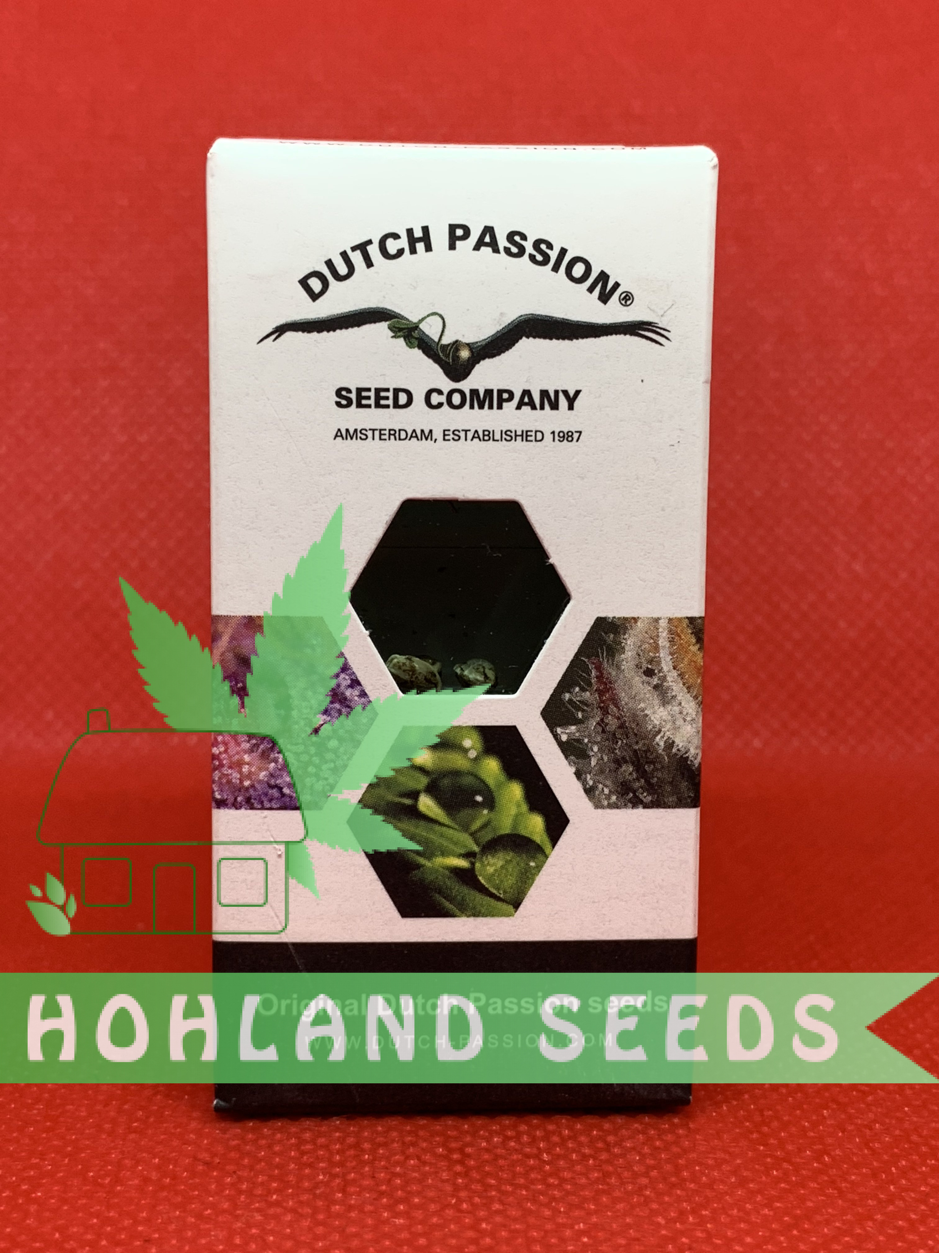 Auto Cinderella Jack Auto Cinderella Jack