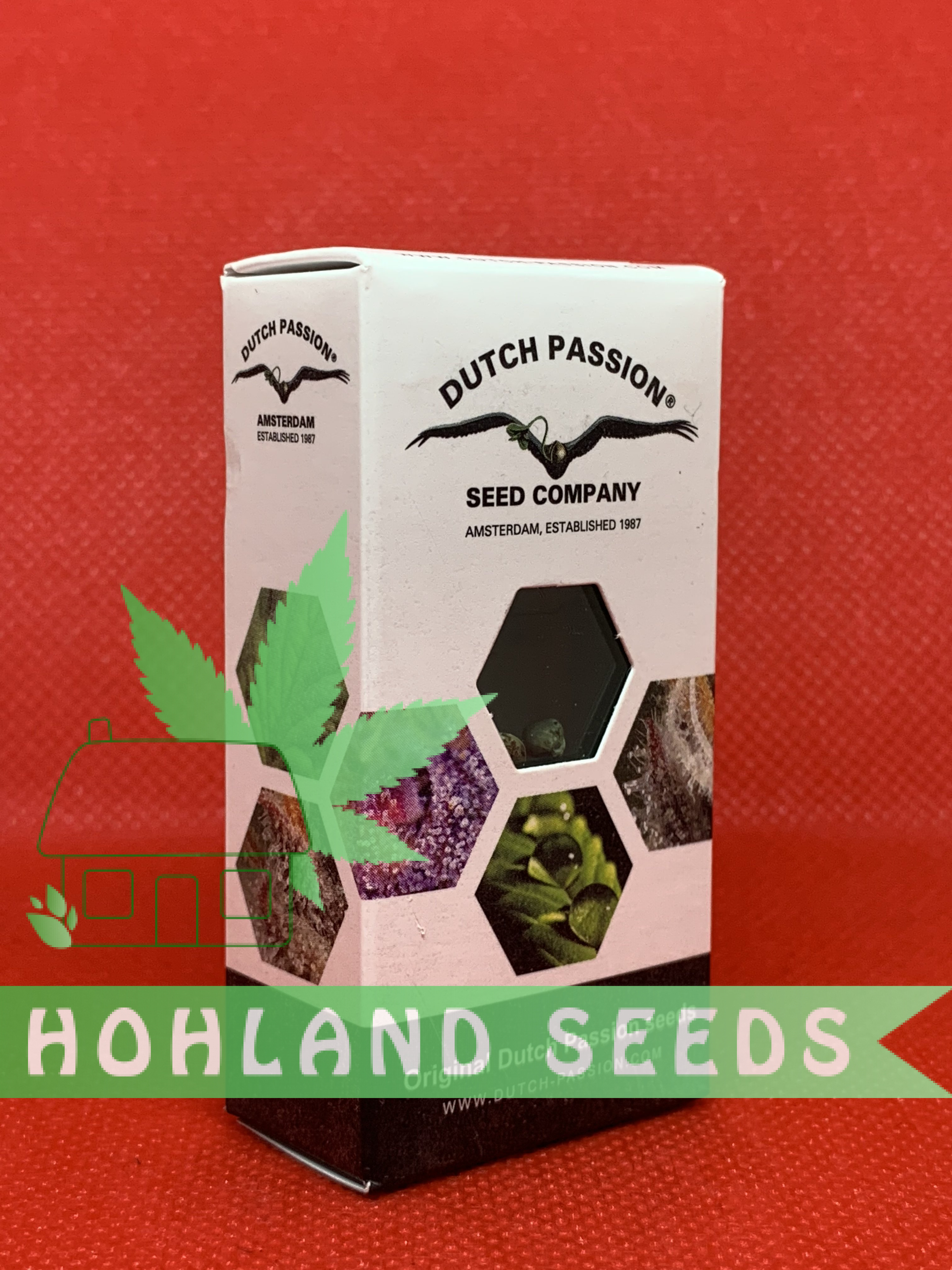 Auto Cinderella Jack Auto Cinderella Jack