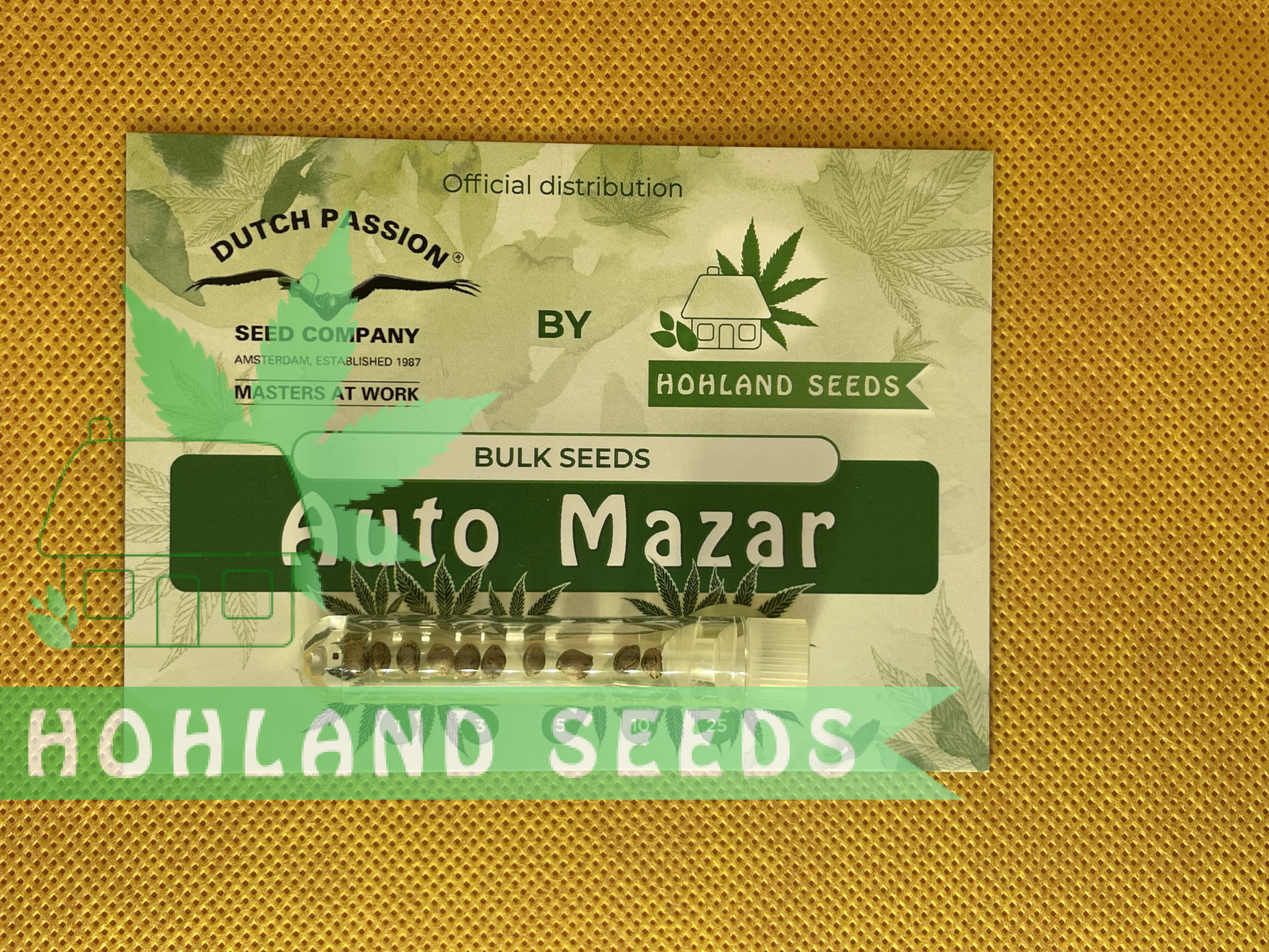 Auto Mazar Bulk Seeds