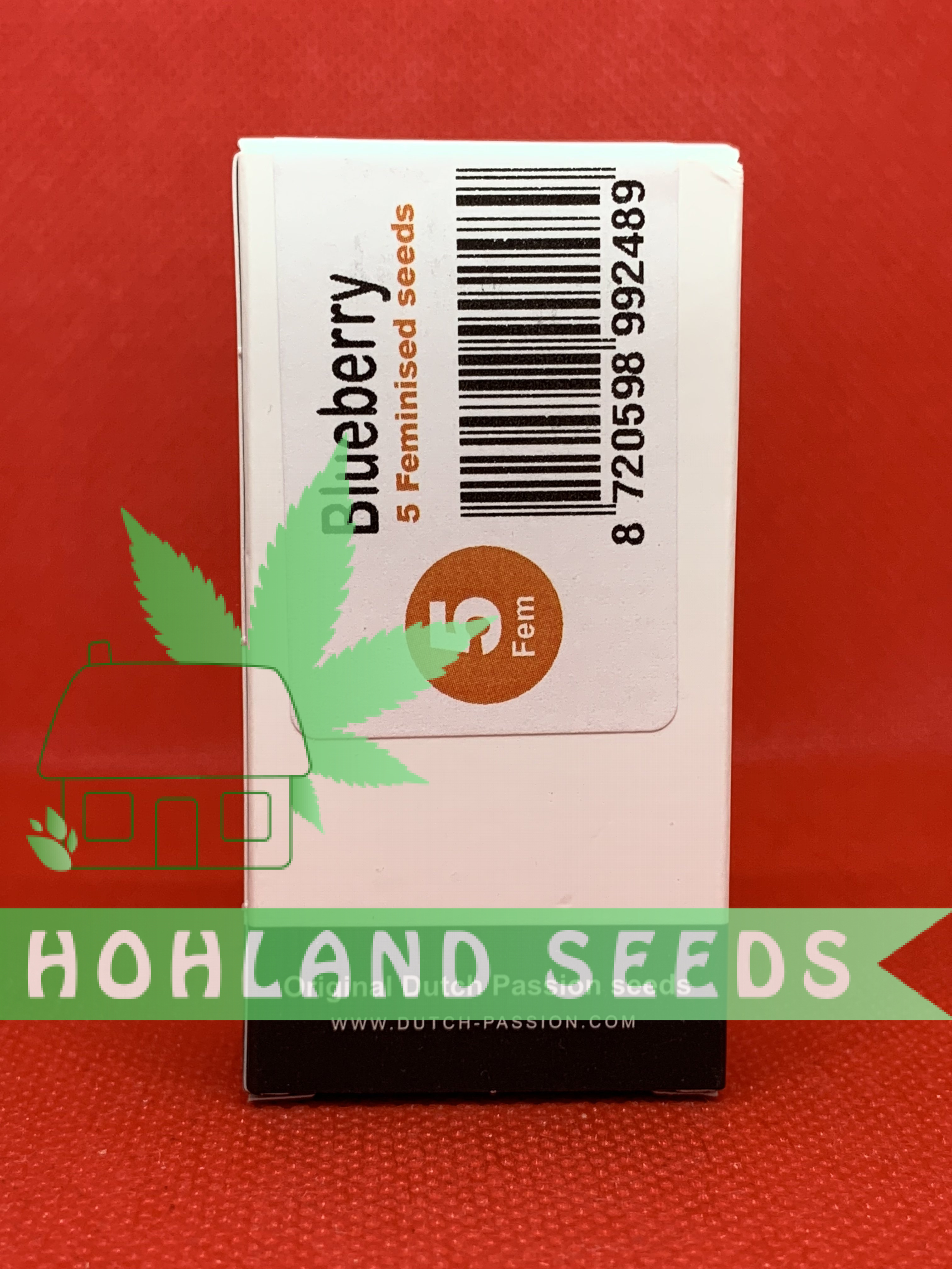 Әпкем үшін өлеңдегі сексуалды құттықтаулар