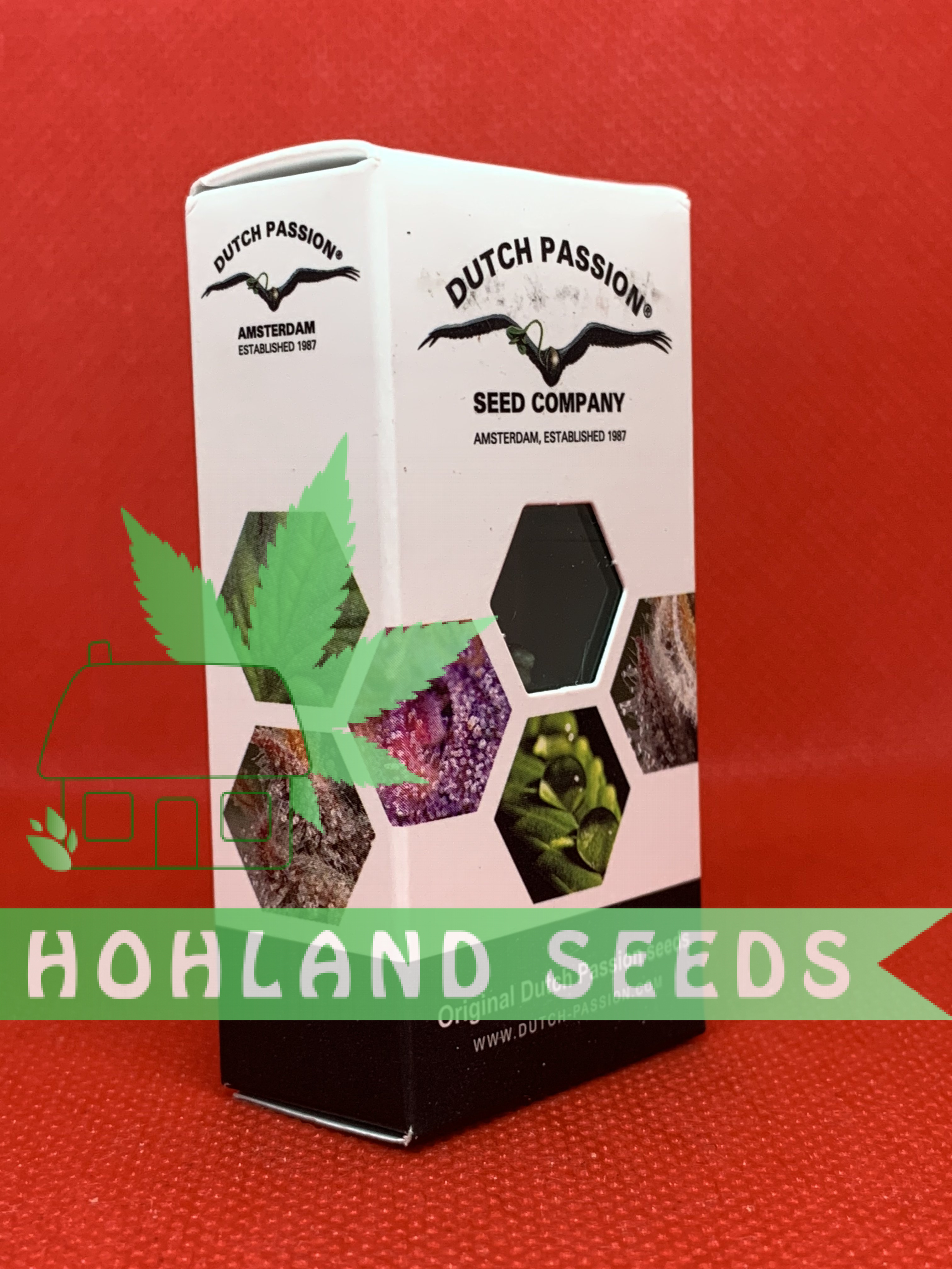 Клитордың орнына жыныс мүшесі шығады