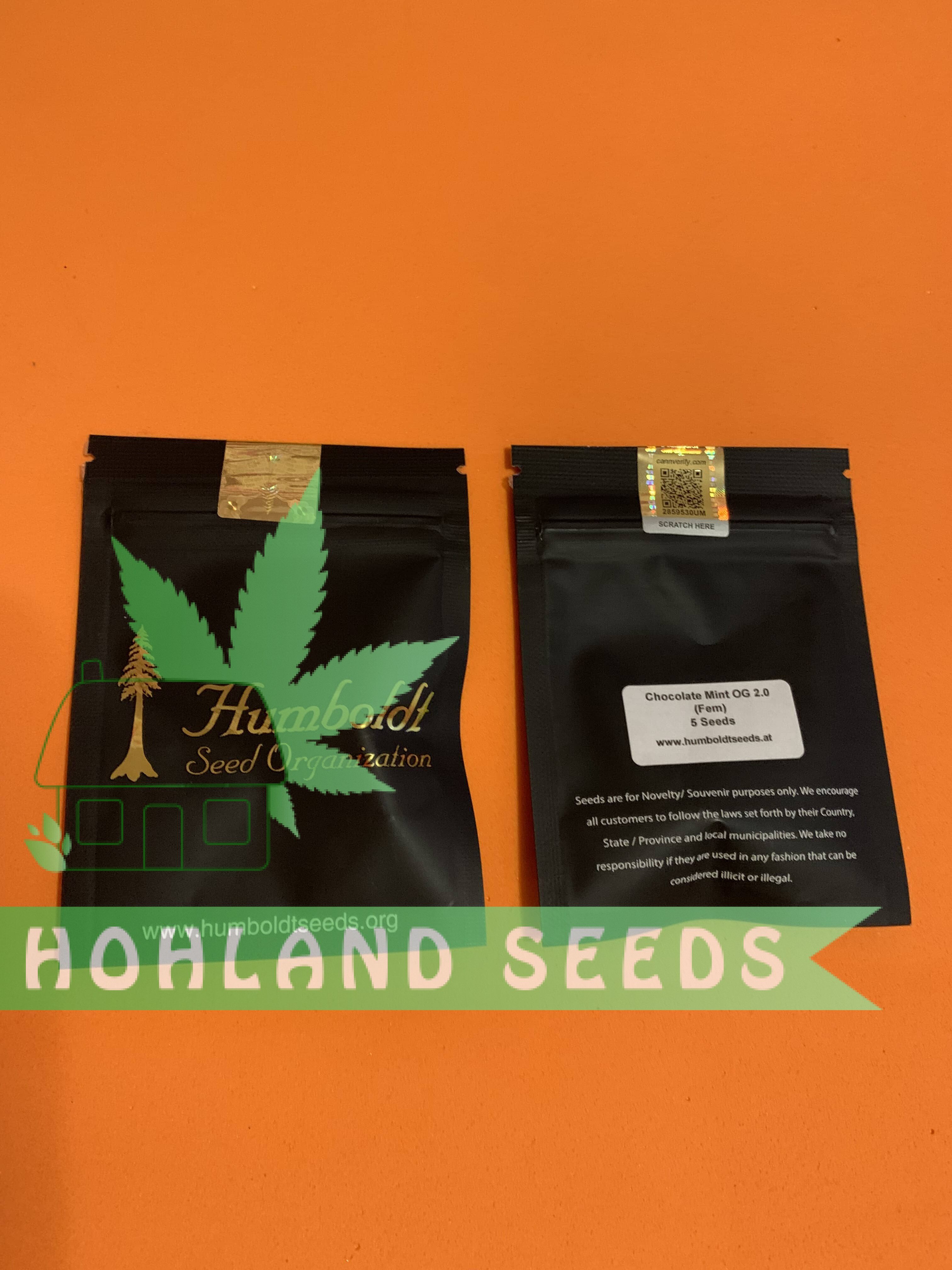 Chocolate Mint OG Chocolate Mint OG