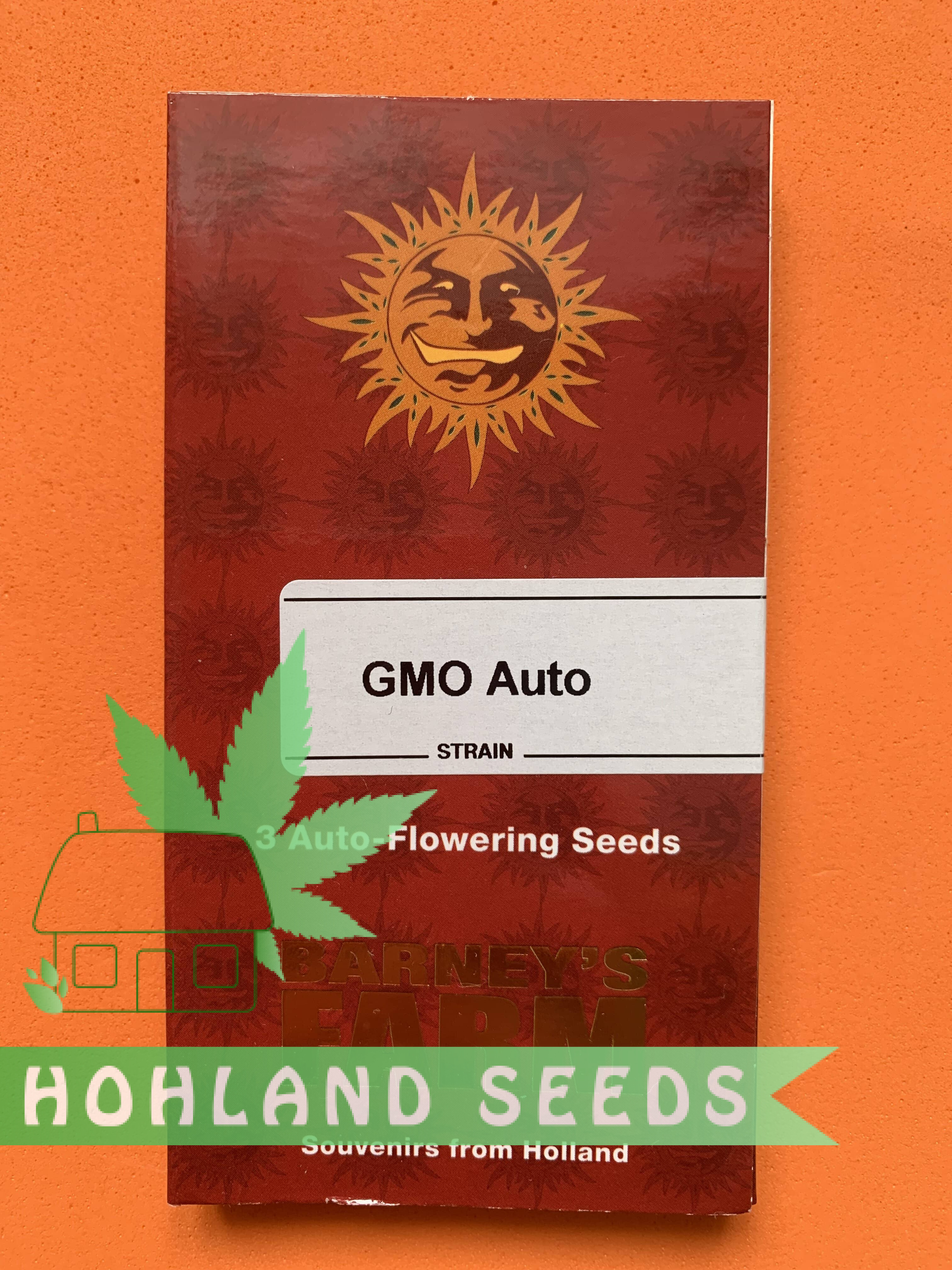 GMO Auto GMO Auto