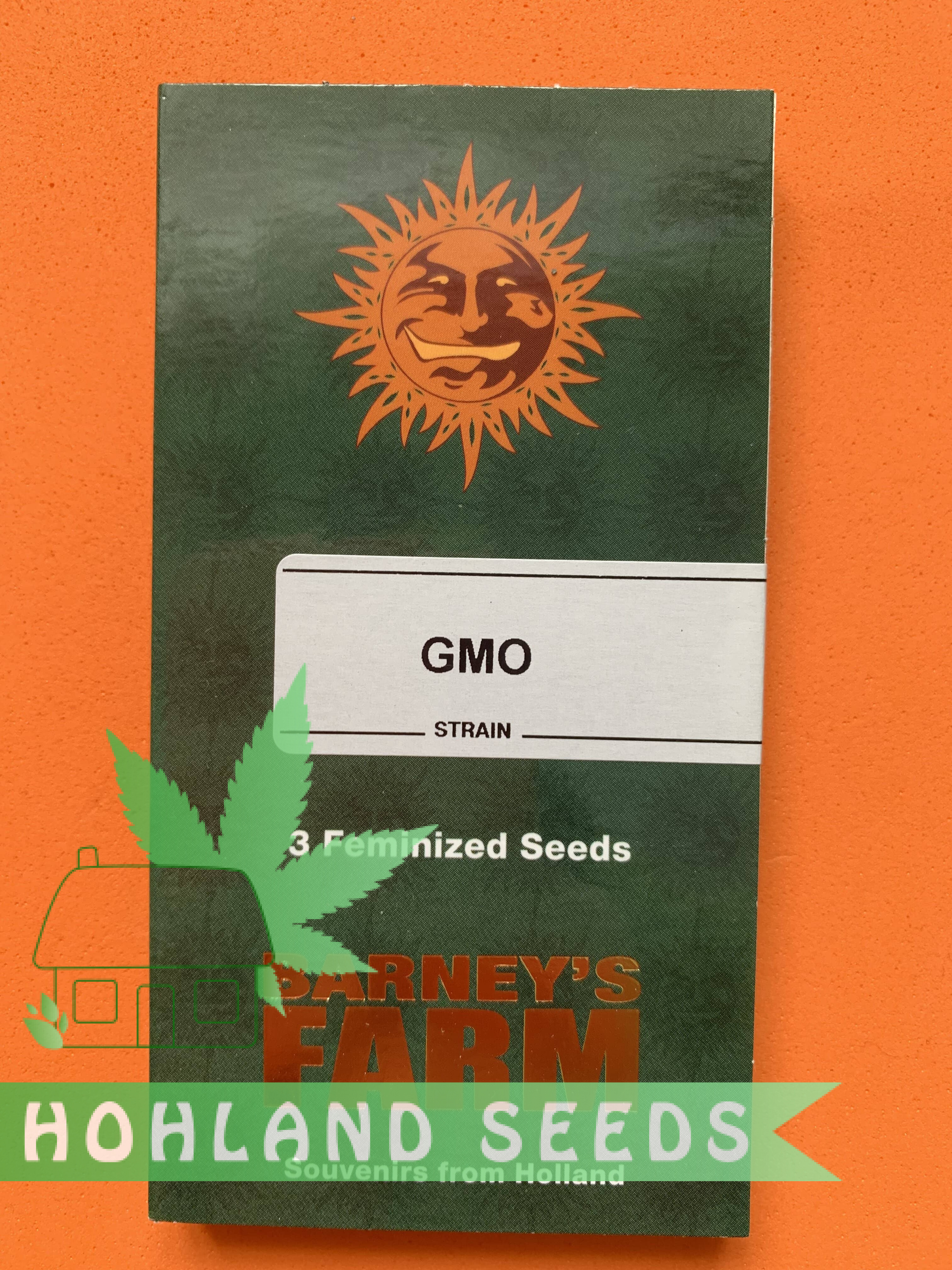 GMO GMO