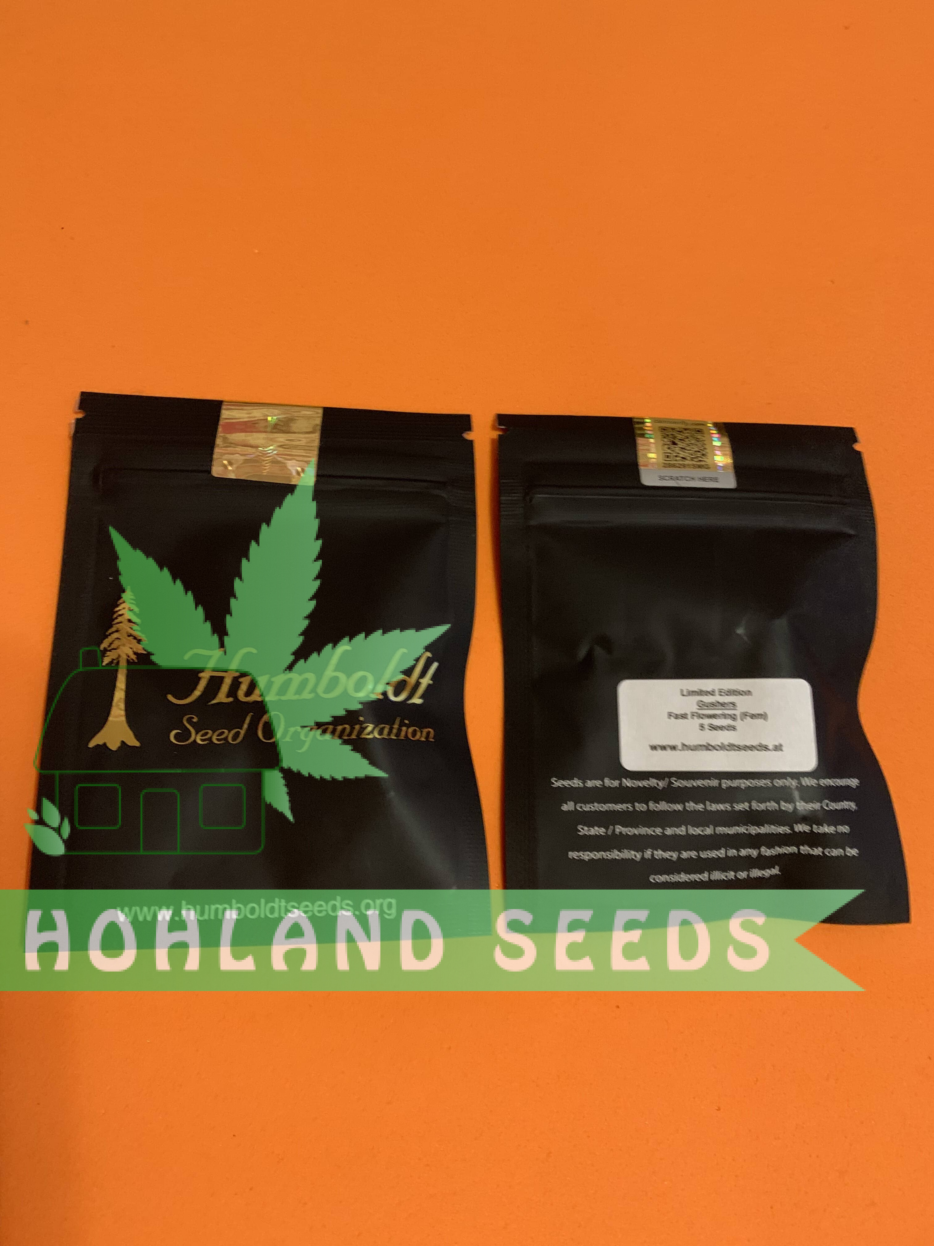 Gushers Fast Flowering Gushers Fast Flowering