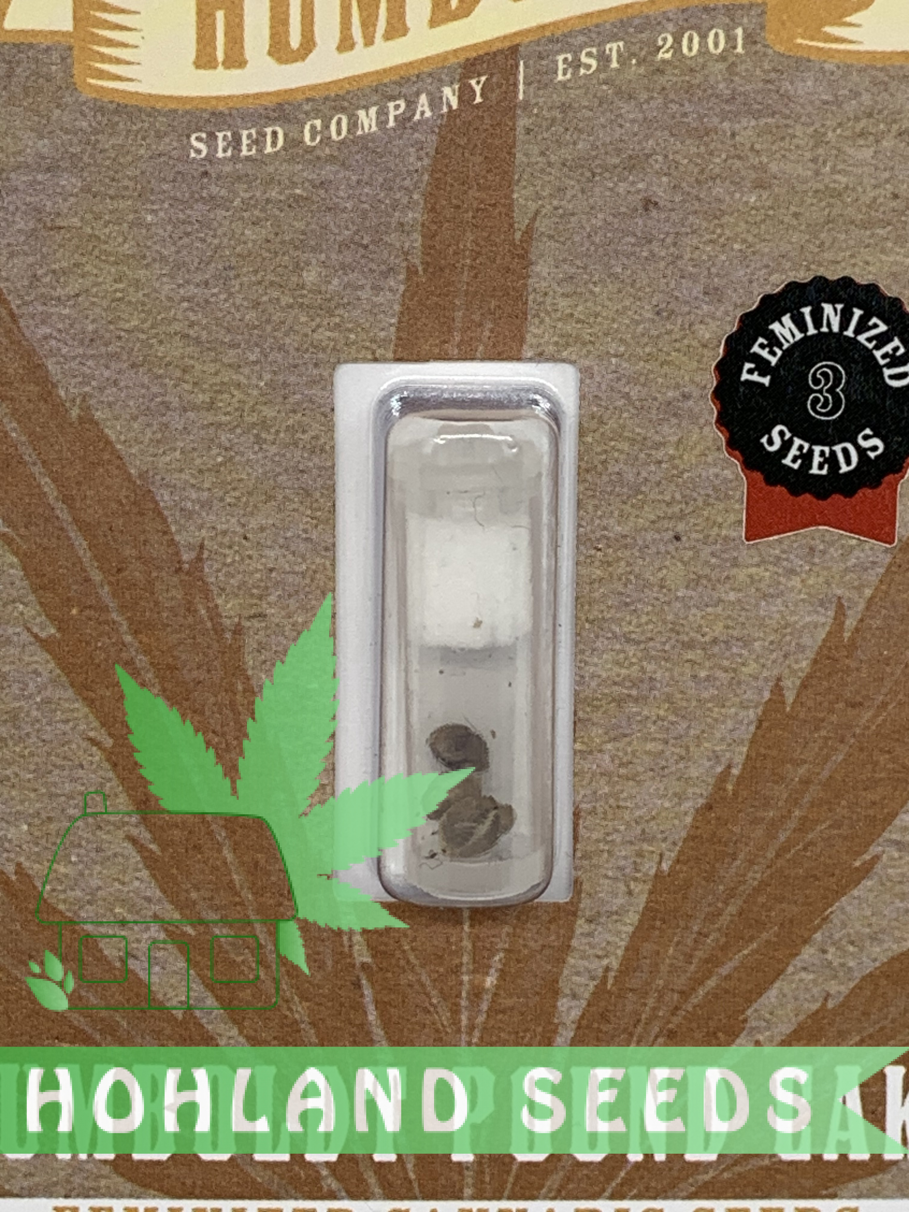 Humboldt Pound Cake Humboldt Pound Cake
