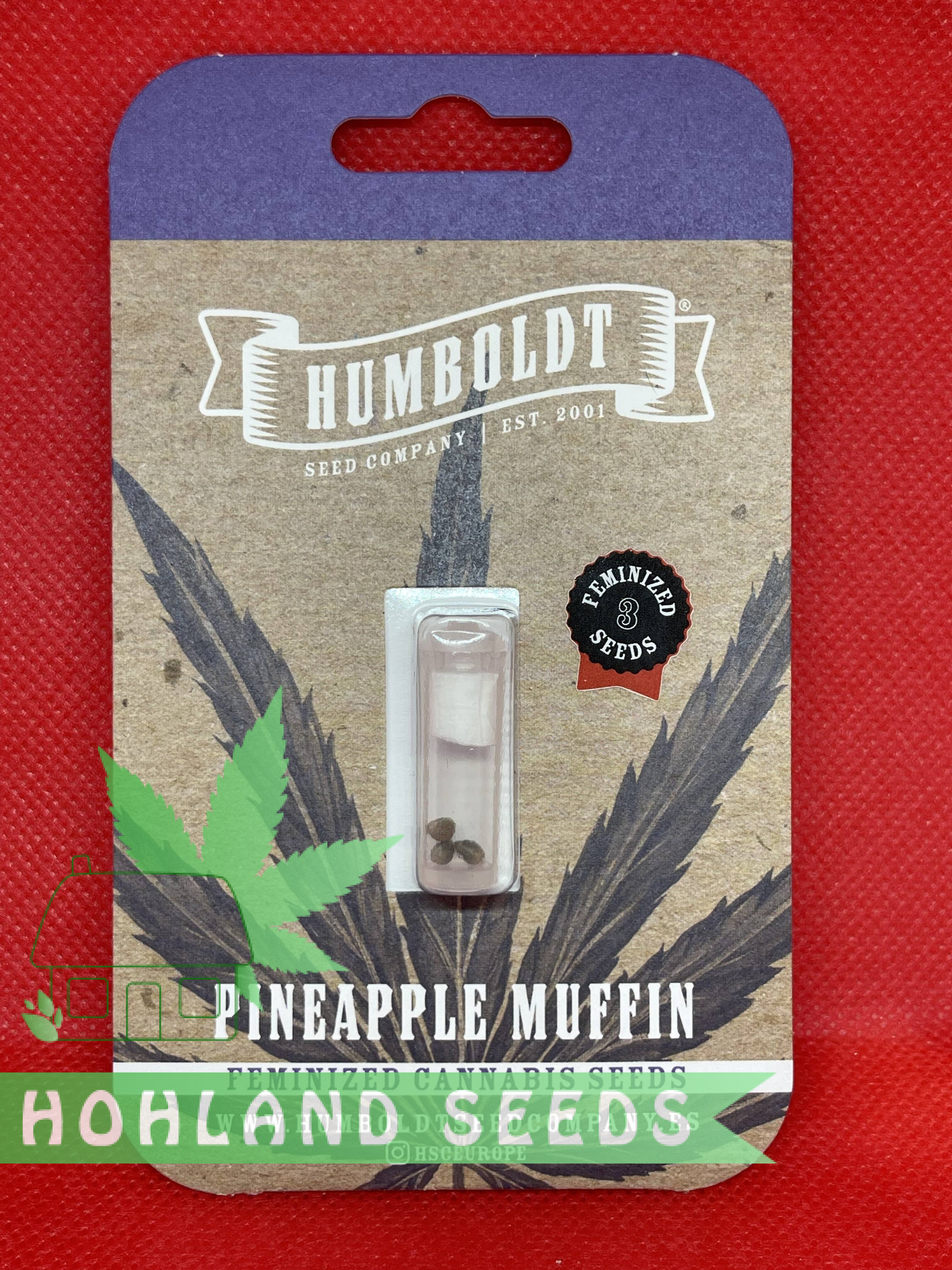 Pineapple Muffin Pineapple Muffin