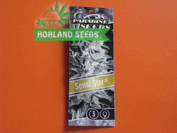 Sensi Star Sensi Star