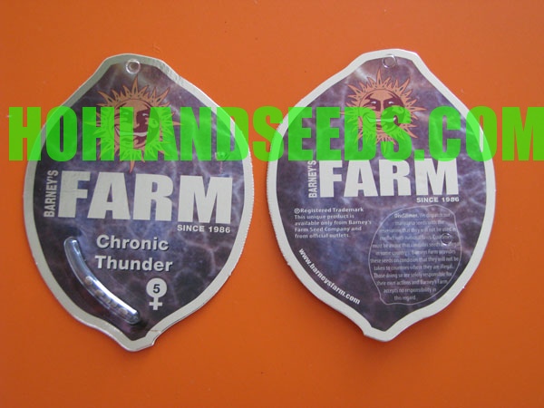 Chronic Thunder Chronic Thunder