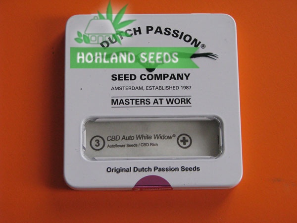 CBD Auto White Widow CBD Auto White Widow